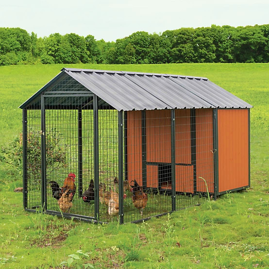 Producer's Pride  Guardian Chicken Coop, 14 Chicken Capacity | Tractor Supply