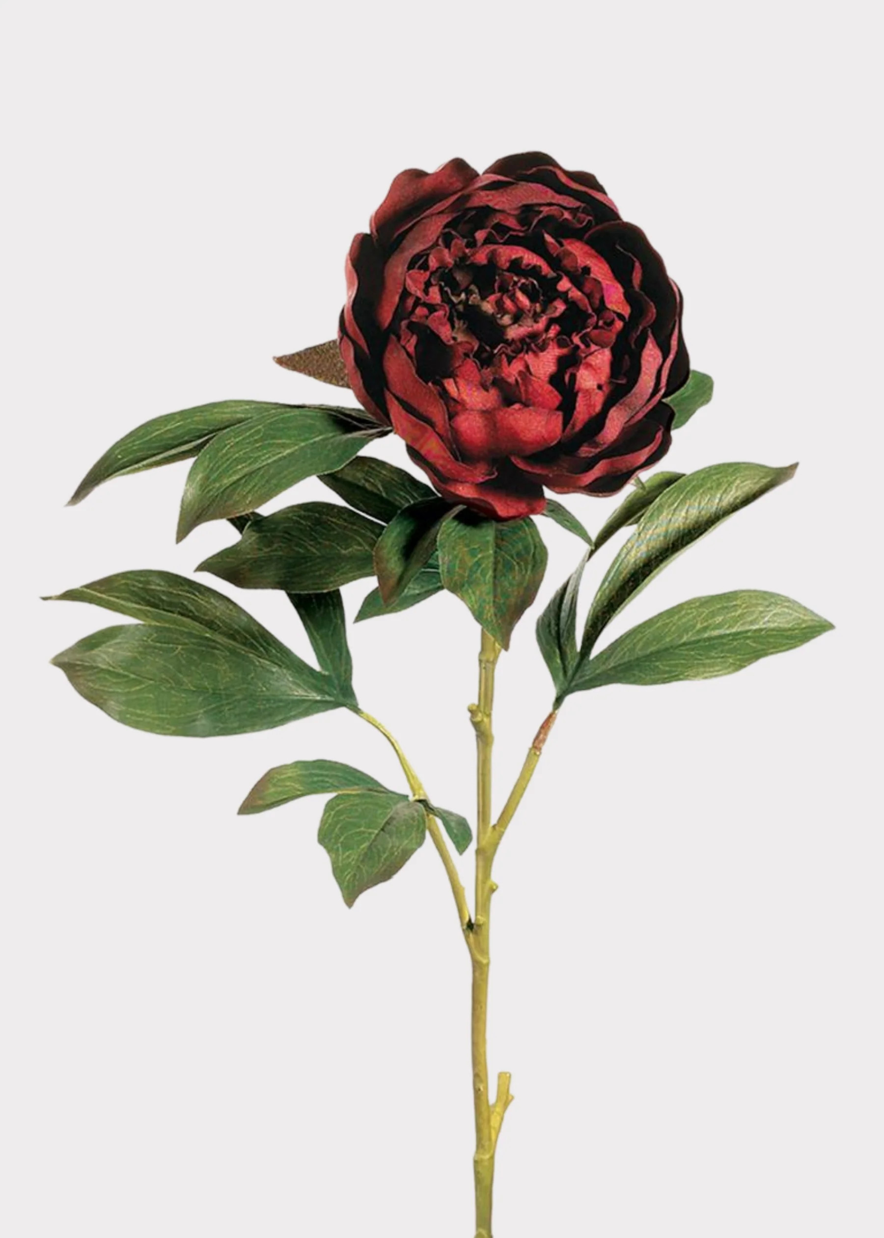Fake Peony Stem in Burgundy | Artificial Flowers for Fall | Afloral | Afloral
