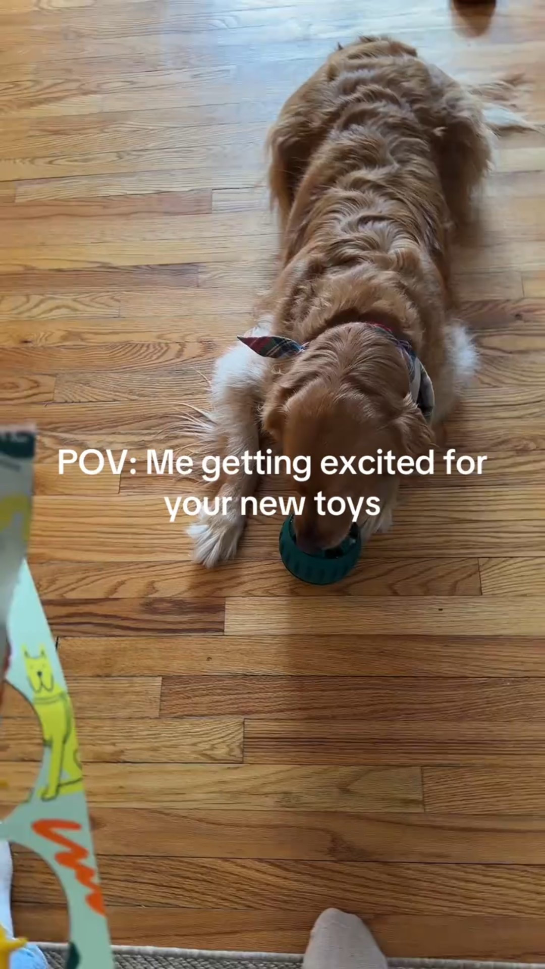 The dog toy you need to keep your dog busy for 20 to 40 minutes at a time  

#LTKFindsUnder50 #LTKFindsUnder100 #LTKGiftGuide