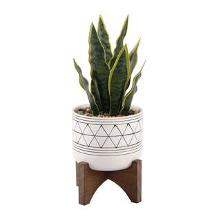 Flora Bunda 12 in. Faux Snake Plant in Black GEO Paint White Ceramic Pot on Wood Stand-CS3667E-BL... | The Home Depot