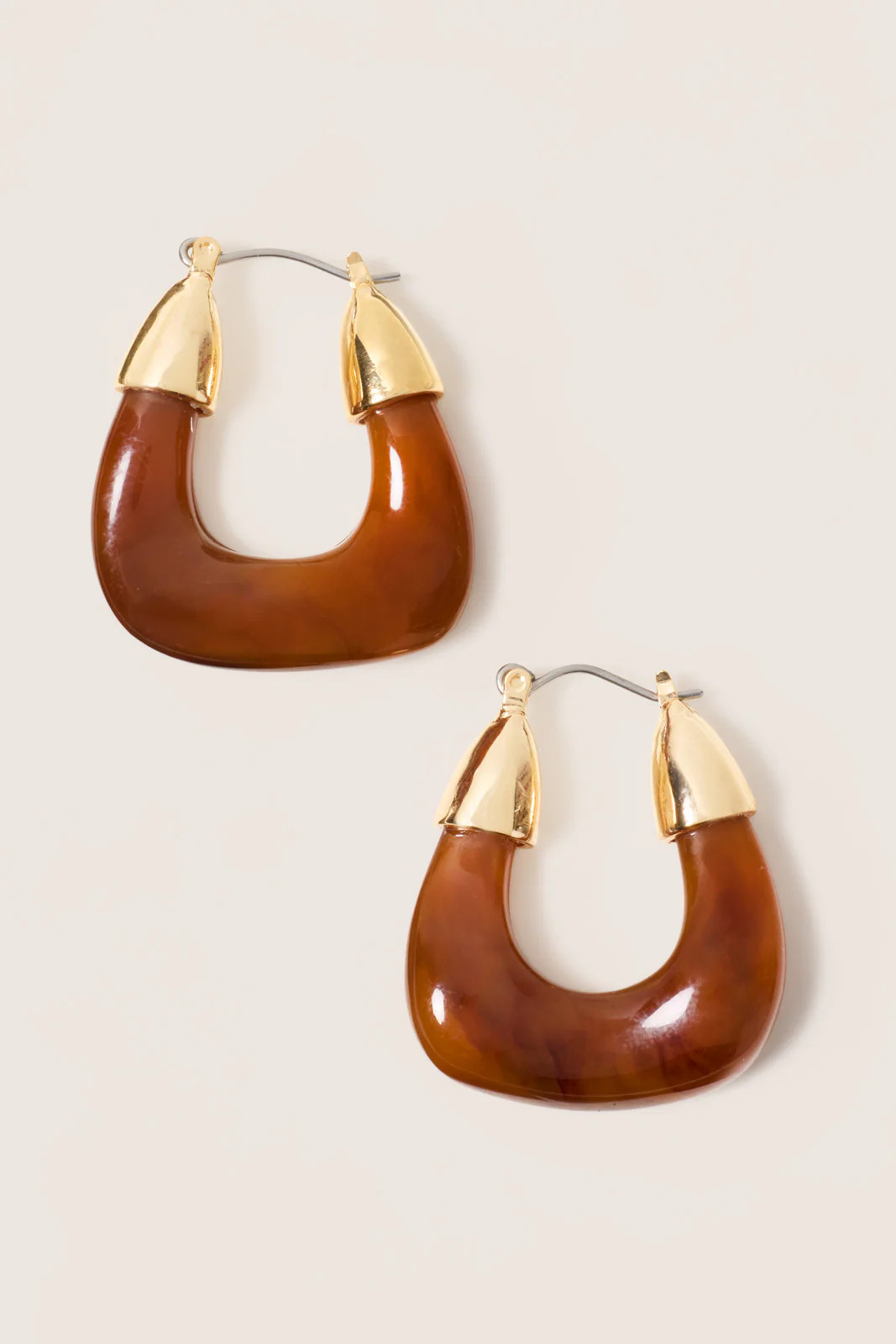 Becca Resin Hoop | Evereve