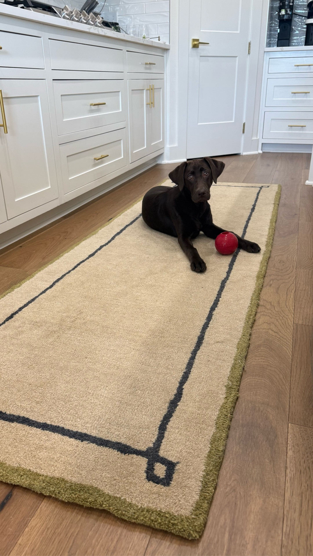 Obsessed with our new kitchen runner from Rugs USA! It’s so stylish, great quality, and an even better price! #ad @rugsusa #rugsusa

#LTKHome