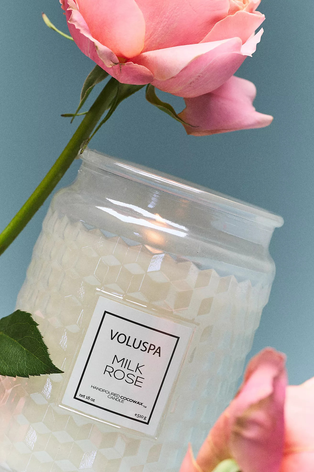 Voluspa Floral Milk Rose Glass Candle | Anthropologie (US)