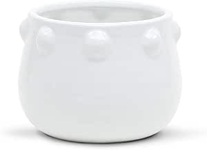 WGV Ceramic Bowl Vase, Width 6.5", Height 5", Knob Pot, Bright Clean White Planter Centerpiece fo... | Amazon (US)