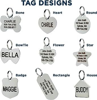 GoTags Stainless Steel Pet ID Tags, Personalized Dog Tags and Cat Tags, up to 8 Lines of Custom T... | Amazon (US)