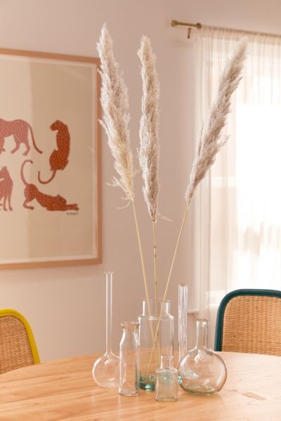 Dried Pampas Grass Bunch | Urban Outfitters (US and RoW)