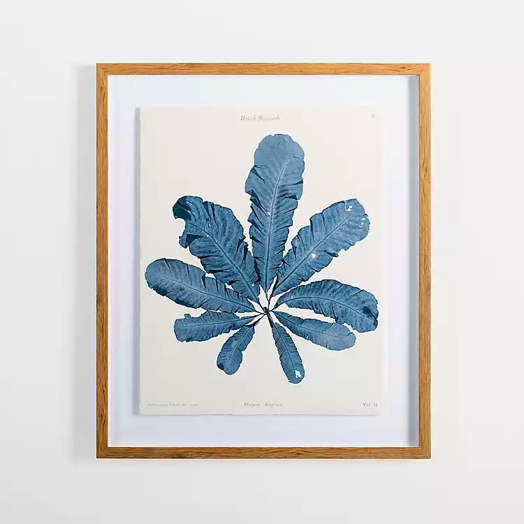 Vintage Blue Coral II Framed Art Print | Kirkland's Home