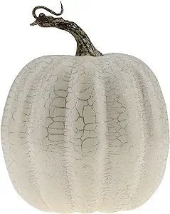 Gresorth 5.5 inch Large White Halloween Pumpkin Decoration Fake Sliver Cracked Pumpkins Artificia... | Amazon (US)