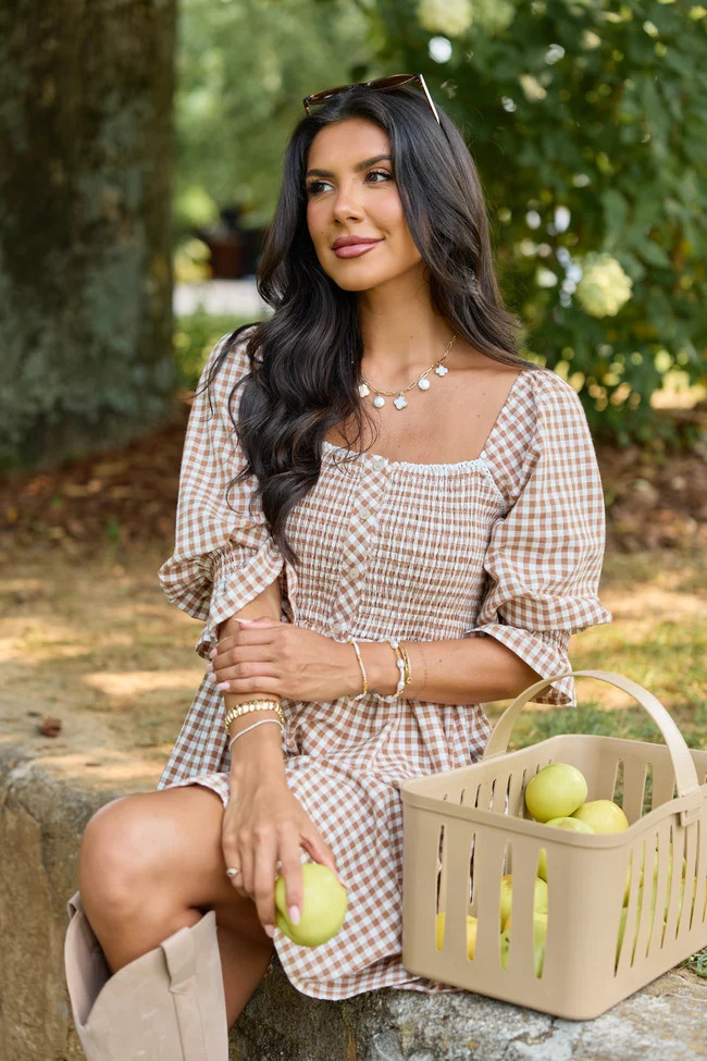 Tailored Grace Brown Gingham Mini Dress | Pink Lily