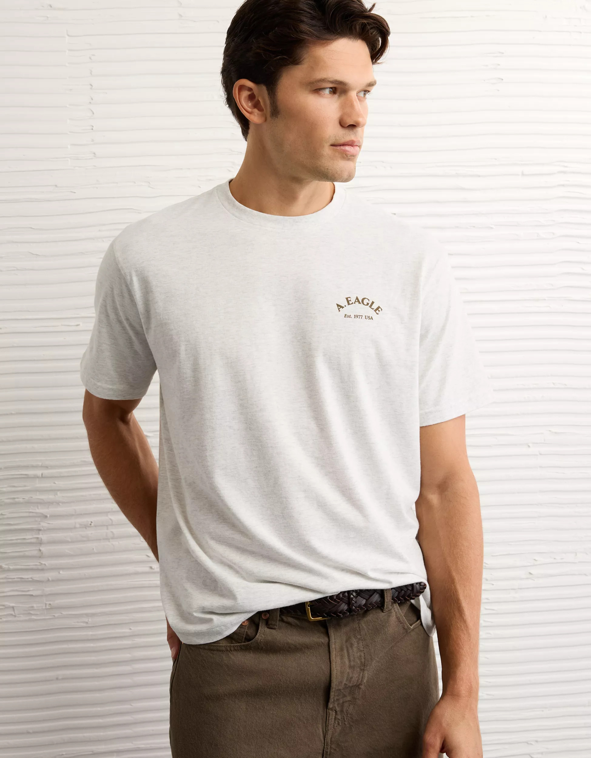 AE Logo Graphic T-Shirt | American Eagle Outfitters (US & CA)