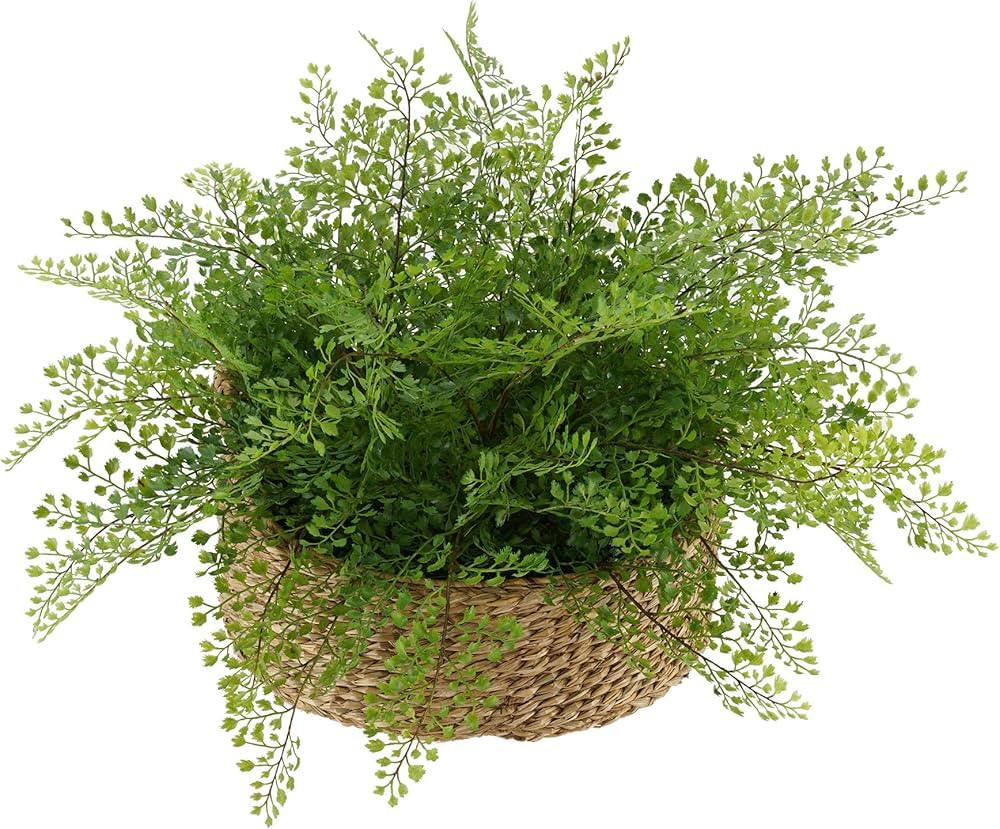 House of Silk Flowers Faux Fern in Seagrass Tray Basket (Maidenhair Fern) | Amazon (US)