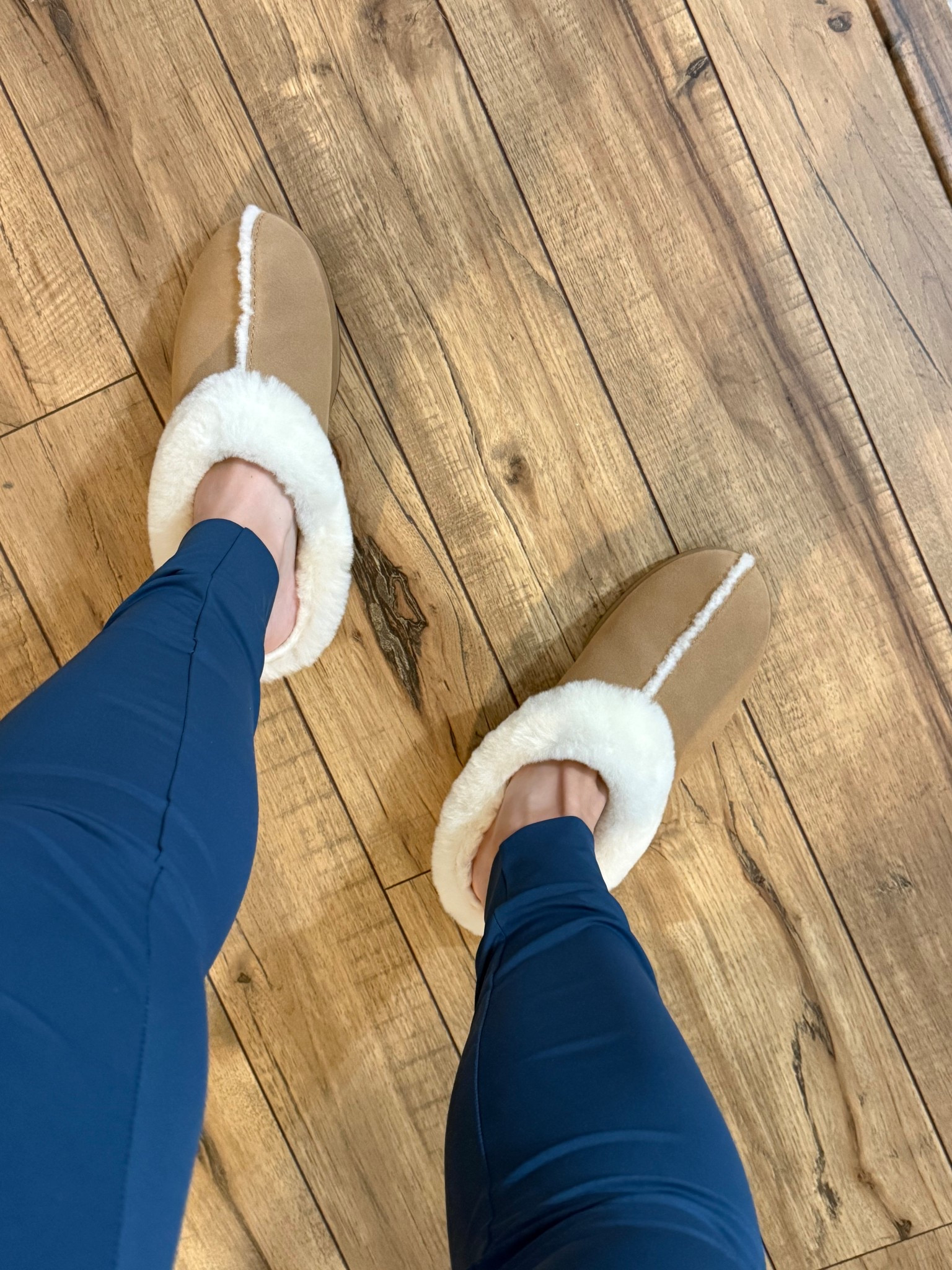 Keep your feet warm and cozy with these slippers from Luxome! They are some of my favorites! I love that the insole can be removed and washed! These fit true to size and come in sizes for men and womenn

#LTKMens #LTKSeasonal #LTKHome