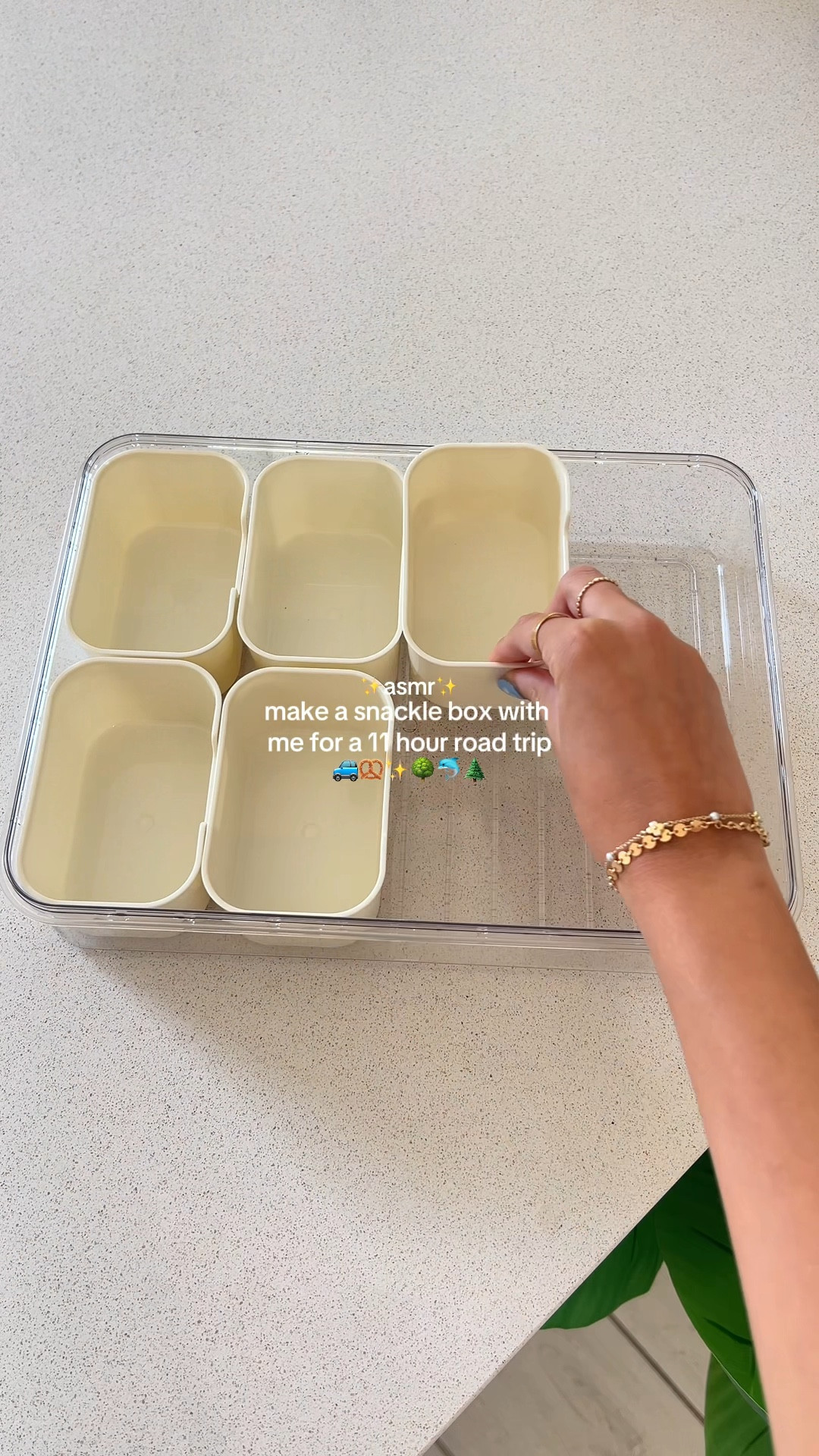 snackle box for my 11 hour road trip!! such a good idea🚙🌲

#LTKTravel #LTKFindsUnder50