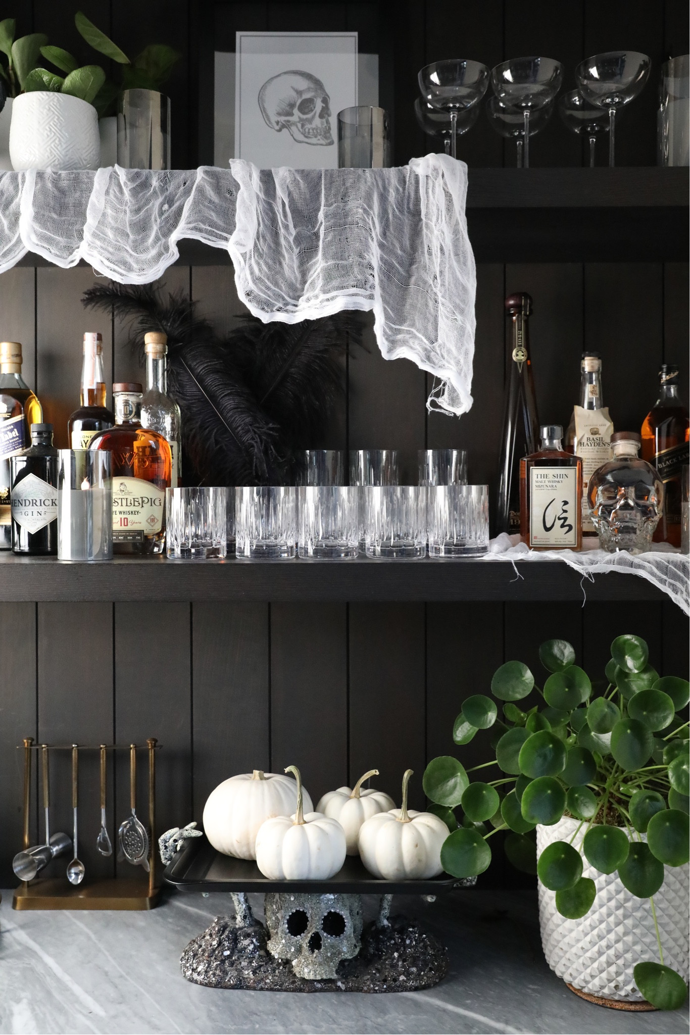 Spooky but make it chic! Shop my picks for elevated barware this season! 

#LTKHalloween #LTKfindsunder50 #LTKfindsunder100