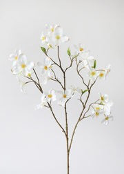 Cream Faux Dogwood Spring Flower Branch - 33" | Afloral (US)