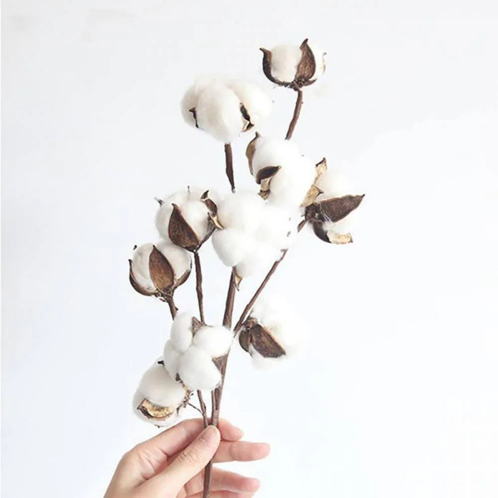 Dried Cotton Picks Stalks Plants, Fake Cotton Flowers, Artificial Cotton Floral Stems Faux - Farm... | Walmart (US)
