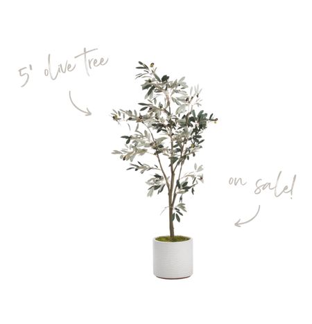 Realistic olive tree! Great price for the height and it comes with a pot!

Faux trees, greenery, design tips, home decor, pots, planters, home design

#LTKfindsunder100 #LTKhome