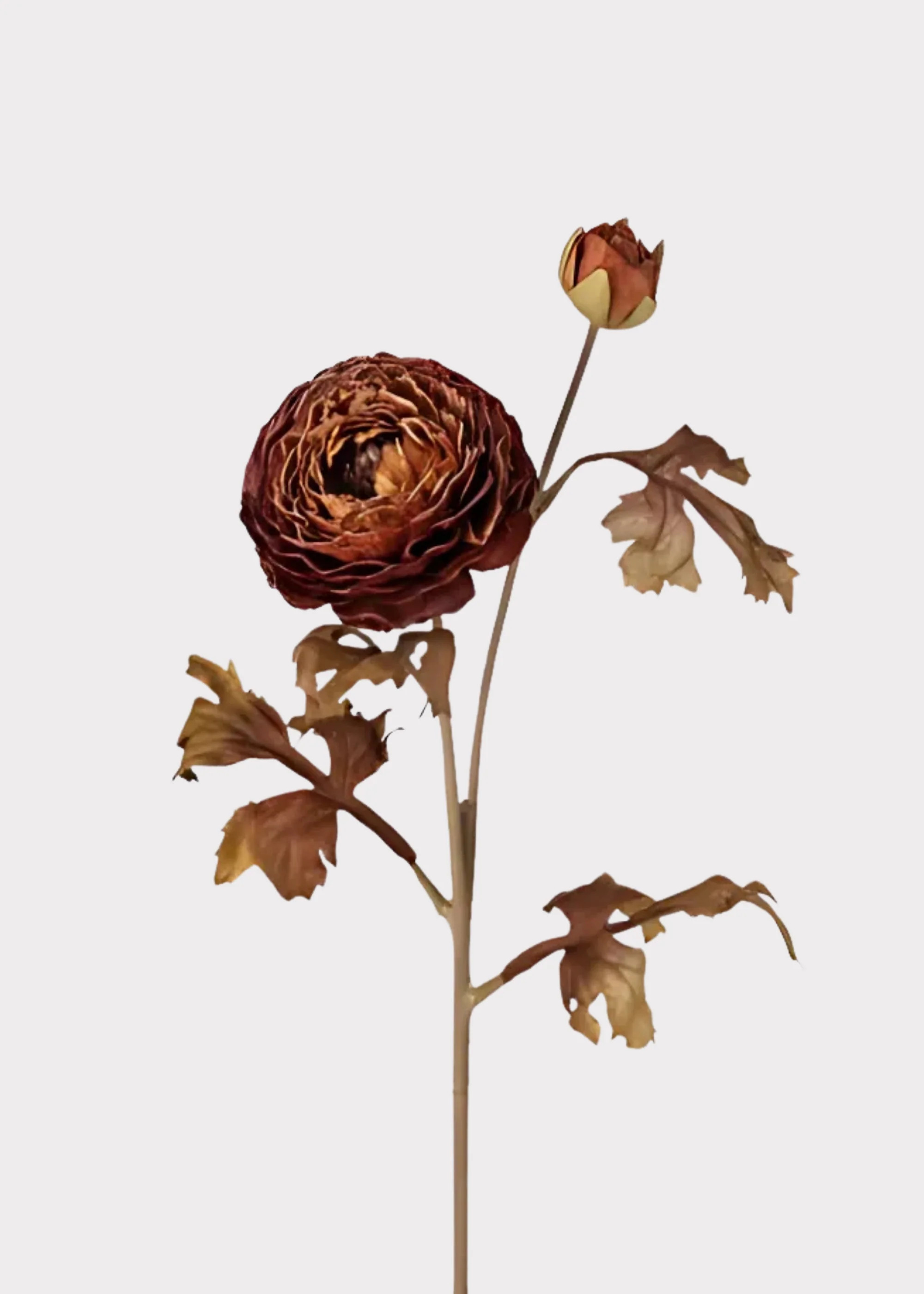 Fake Ranunculus Flower in Fall Cinnamon Hue - 24 | Afloral