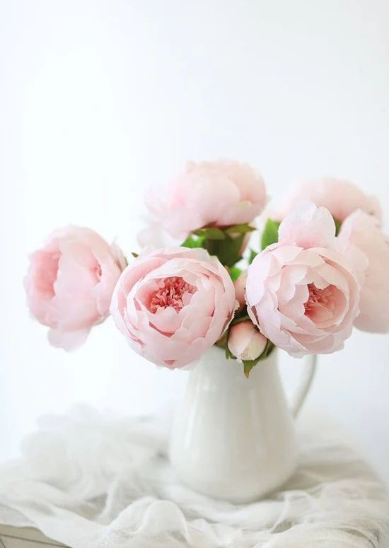 Silk Peony in Light Pink - 24 | Afloral (US)