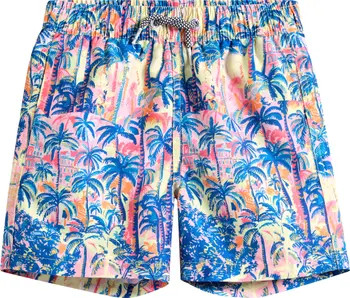 Kids' Havana Palm Tree Print Swim Trunks | Nordstrom