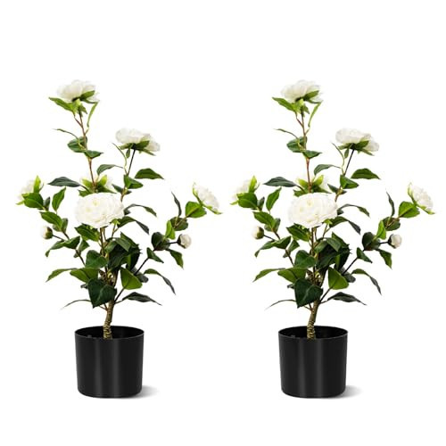 Hylmiip Artificial Camellia Tree 2 Pack, Artificial Plants Outdoor Faux Floral Plant in Cement Pot Fake Silk Camellia Tree Plants for Home House Living Room Office Decor (White, 2FT) | Amazon (US)