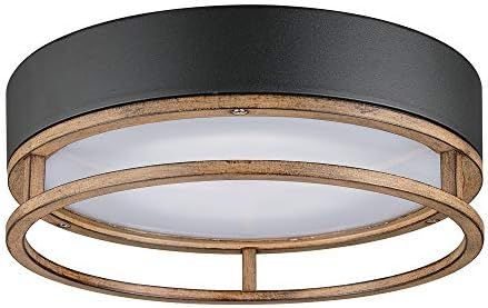 Globe Electric 44663 Ray 18.5W LED Integrated Outdoor Indoor Flush Mount Ceiling Light, Matte Bla... | Amazon (CA)