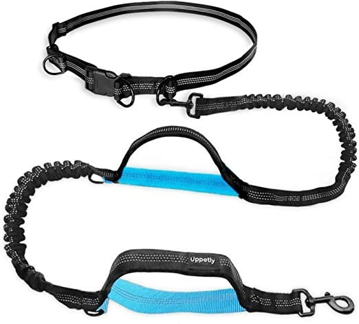 Amazon.com : UPPETLY Hands Free Dog Running Leash with Adjustable Waist Belt, Dual Handle Elastic... | Amazon (US)