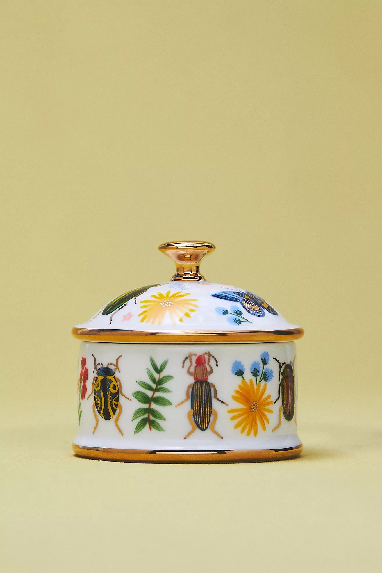 Curio Round Porcelain Box | Anthropologie (US)