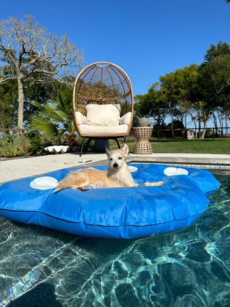 Keeper loves this dog float because he stays dry! Fits 2 small dogs of one large. Pool float, doggie float, pools, summer fun. 

#LTKSeasonal #LTKswim