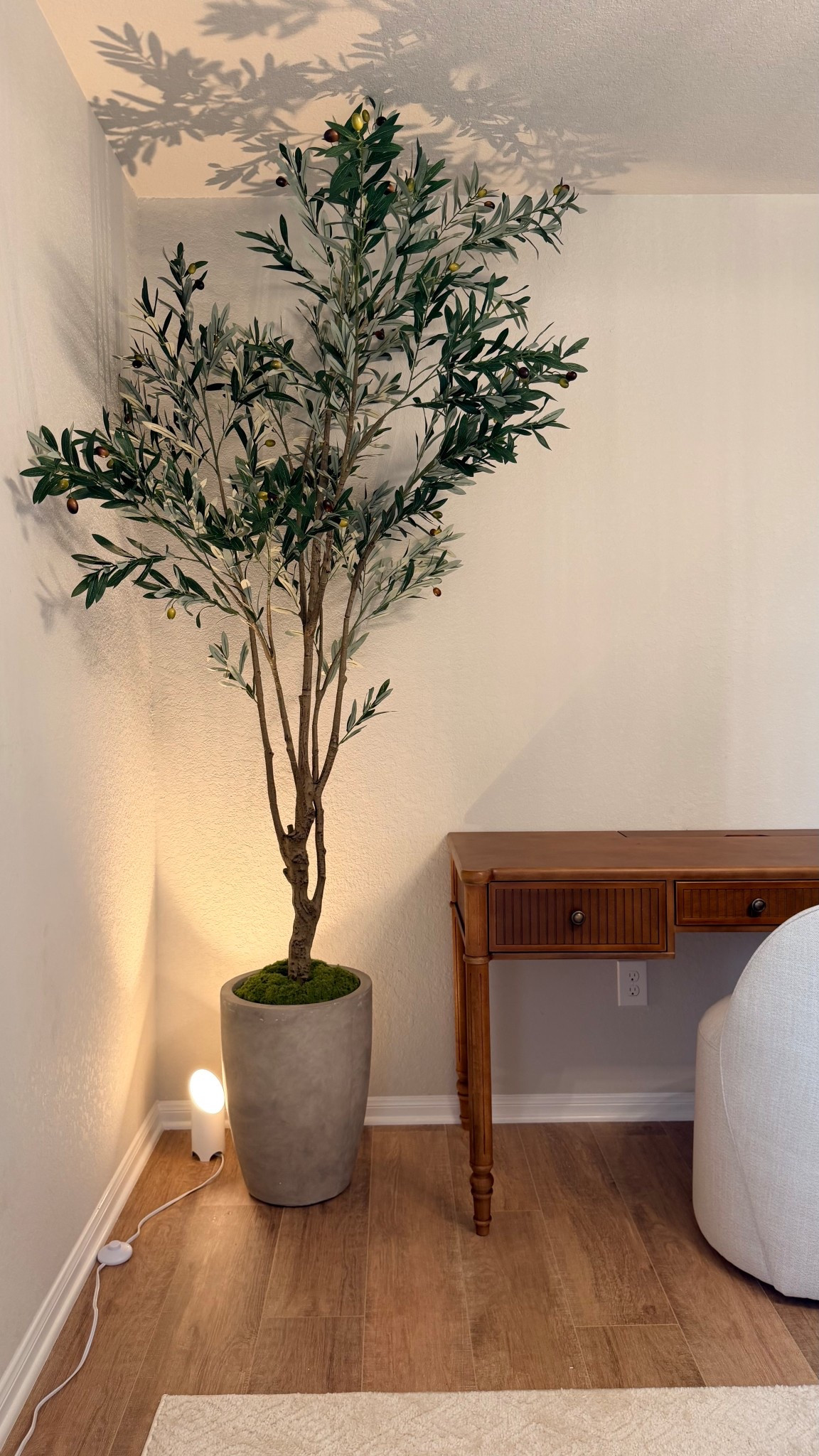 Amazon office tree 

#LTKSaleAlert #LTKSpringSale #LTKHome