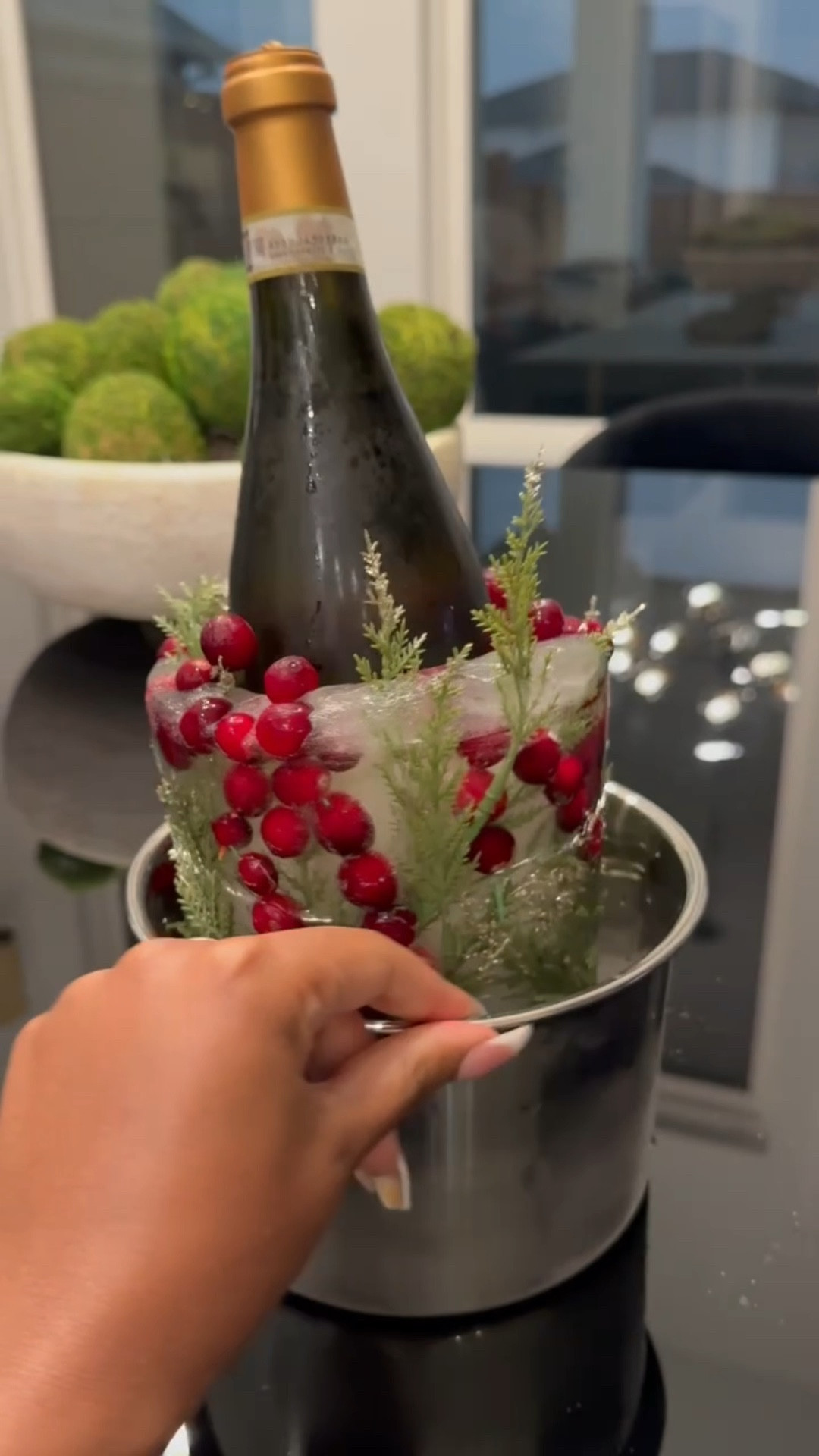 This ice mold/wine chiller instantly elevates your party decor! I used real cranberries (which I put on toothpicks) and greenery from Hobby Lobby. 

#LTKFindsUnder50 #LTKParties #LTKHoliday