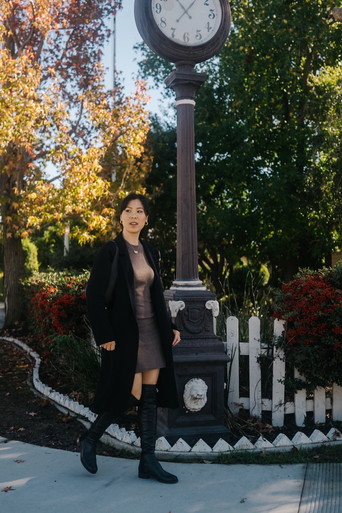 A Black and tan outfit makes the fall leaves pop 🍂🍁 I got the dress on sale! 

#LTKSeasonal #LTKsalealert #LTKover40