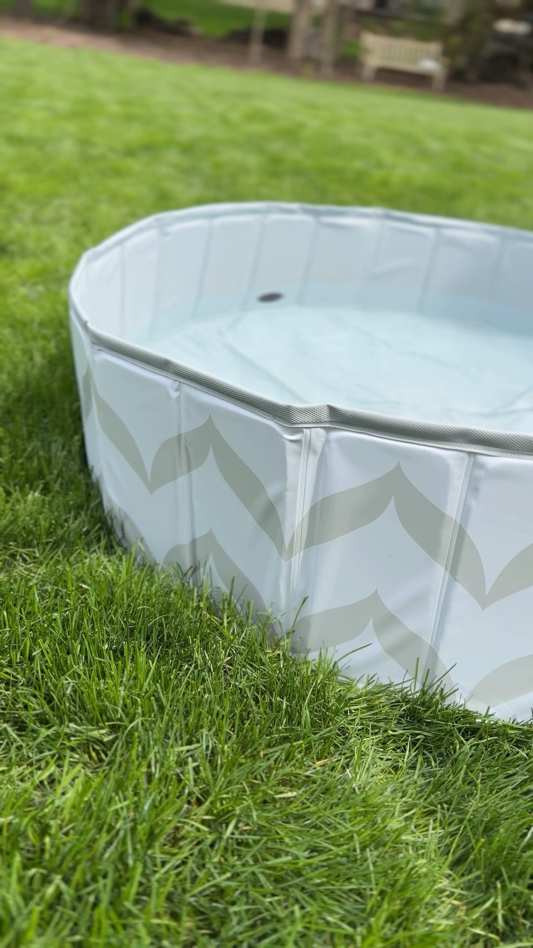 Dog pool!!!

#LTKSeasonal #LTKHome