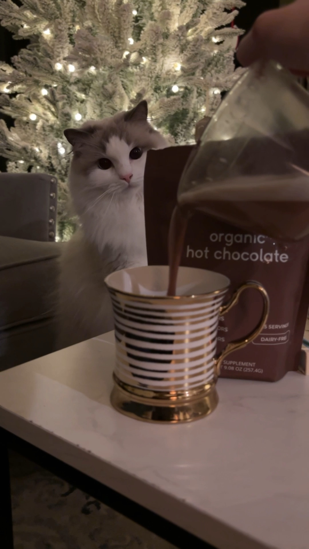 It’s turn down the temp and sip hot cocoa by the Christmas tree season. Taylor Dukes Wellness has my new favorite hot cocoa. Flavor without sugar, natural flavors, artificial flavors, or artificial colors. I promise it's yummy! 
Mug is old Strawberry Street but I am tagging a similar one. 

#LTKSeasonal #LTKHome #LTKHoliday