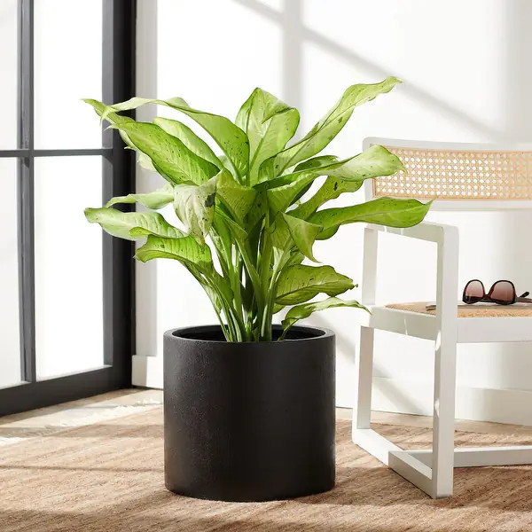 SAFAVIEH Outdoor Braslen Black Planter - 14.5" W x 14.5" L x 12.9" H - Overstock - 31996170 | Bed Bath & Beyond