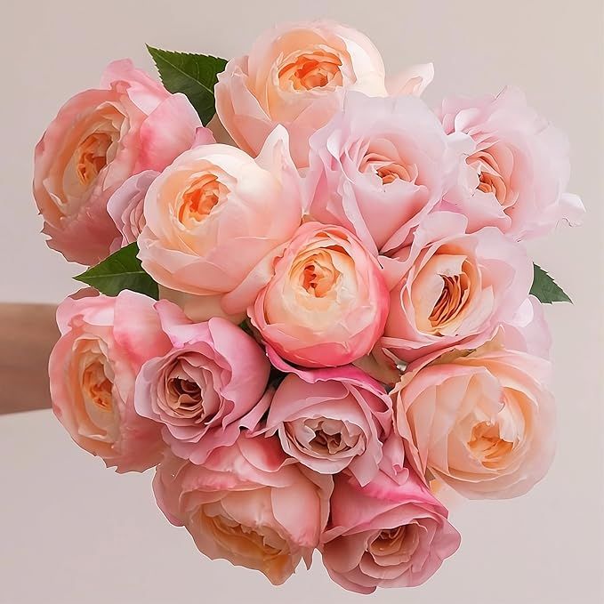 Laura Ashley Ena's Garden 12 Garden Roses Bouquet, Fresh Cut Flowers, Floral Delivery, All Occasi... | Amazon (US)