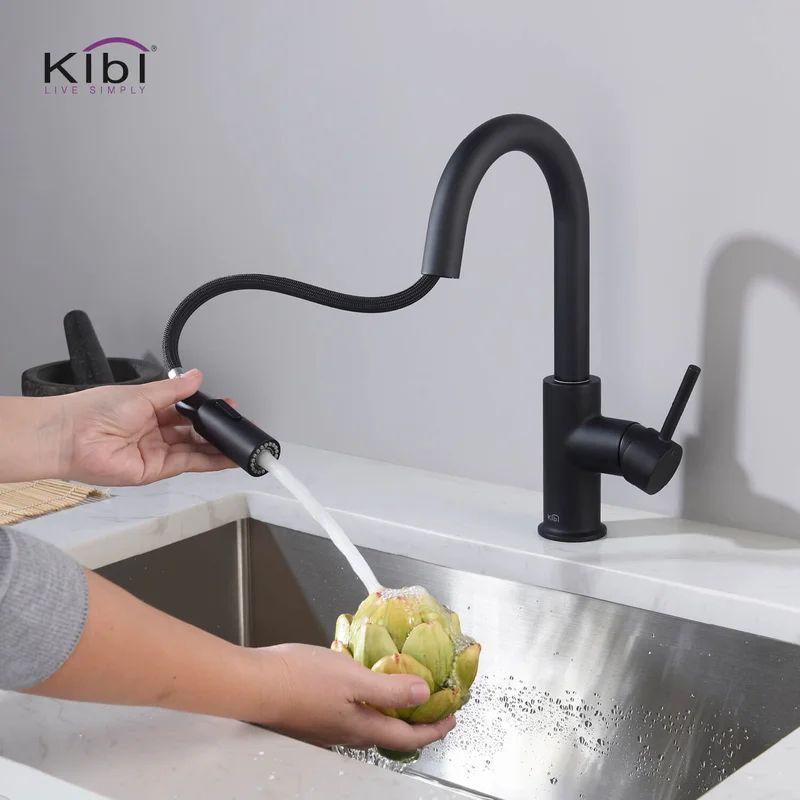 KKF2011MB Luxe Pull Down Single Handle Kitchen Faucet with Accessories | Wayfair North America