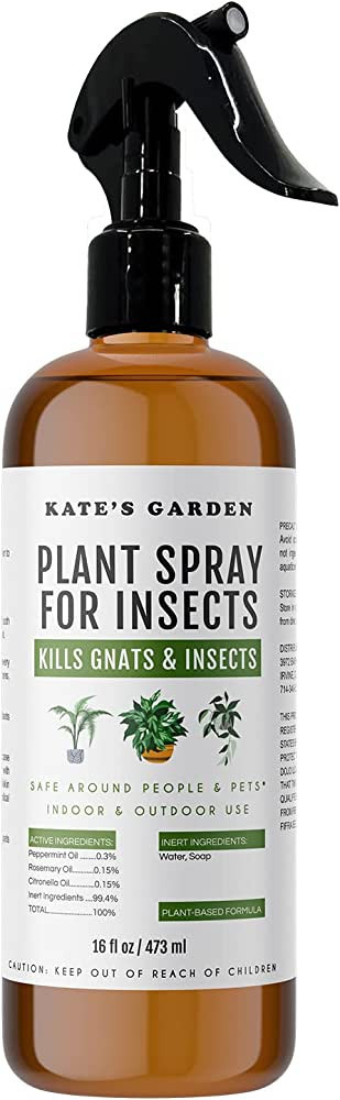 Plant Spray Bottle for Insects (16oz) by Kate's Garden. Garden Plant Care Peppermint Oil Spray fo... | Amazon (US)