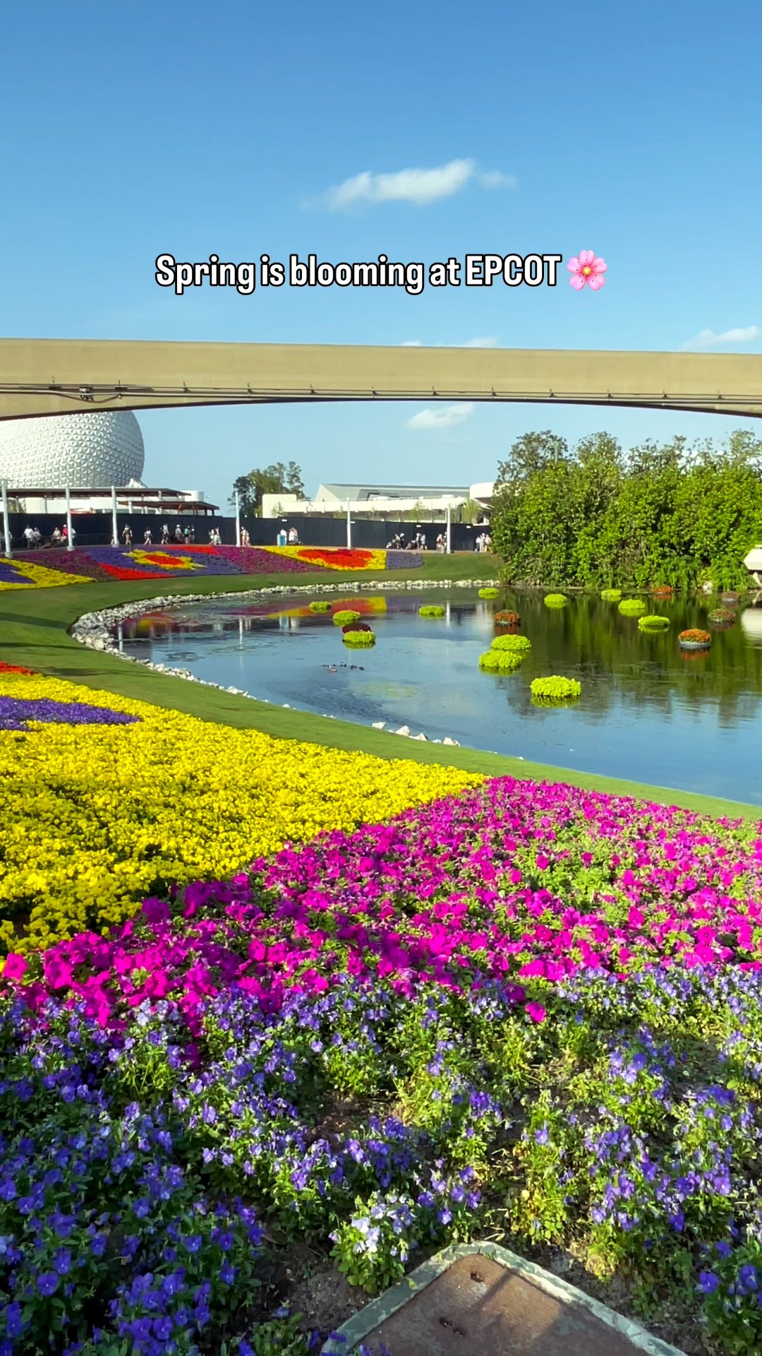 Spring is officially starting to bloom at EPCOT 🌷

I’m linking some of my favorite spring Disney finds!

The EPCOT International Flower & Garden Festival returns March 4 – June 1, 2026, and the park is already beginning its glow-up! The first topiaries have arrived, and EPCOT is slowly coming to life with vibrant blooms, fresh flavors, and stunning character displays.

🌼 What’s NEW this year: • 3 brand-new gardens: Pluto’s Pet-Friendly Garden, Wildlife Crossing Garden, and Trendy Tropicals • CommuniCore Hall will glow after dark with fireflies and moonlit flowers • First look at the Orange Bird & Spike the Bee merch collections

🌿 Topiaries you’ll see: • Over 60 character topiaries throughout EPCOT • Entrance display returns with Buzz, Woody, Bo Peep, Lotso & the Pixar Ball • Fan favorites popping up around the park will be Stitch, Mike & Sulley, Lightning McQueen, Mater, plus Phineas & Ferb, Bambi with Thumper & Flower, and Goofy

🌸 Festival favorites: • Outdoor Kitchens  • Garden Rocks Concert Series + Dining Package • Spike’s Pollen-Nation Scavenger Hunt & Eggstravaganza • Butterfly Landing walkthrough experience

One of my favorite things is watching EPCOT transform before the festival even officially begins and it always means spring is almost here 💐

✨Are you planning a spring visit to EPCOT?

#disneyworld #epcot #epcotflowerandgardenfestival #flowerandgardenfestival #epcotfestival

#LTKSeasonal #LTKfoodie #LTKTravel