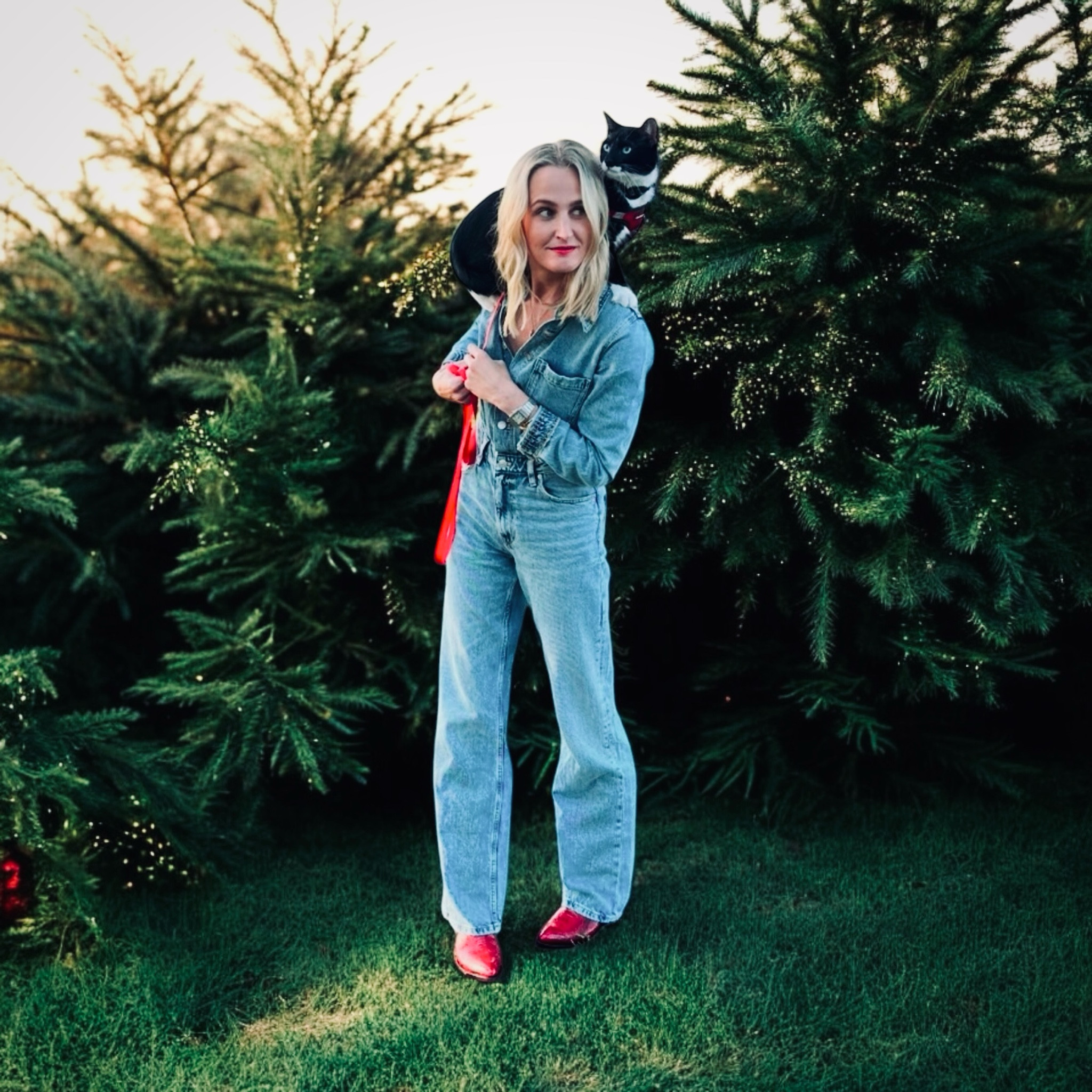 Steve the bar kitty has come a long way since he was rescued.   I’m rounding up some great gifts for your favorite kitty cat and cat lover! 

#LTKGiftGuide #LTKSaleAlert #LTKHoliday