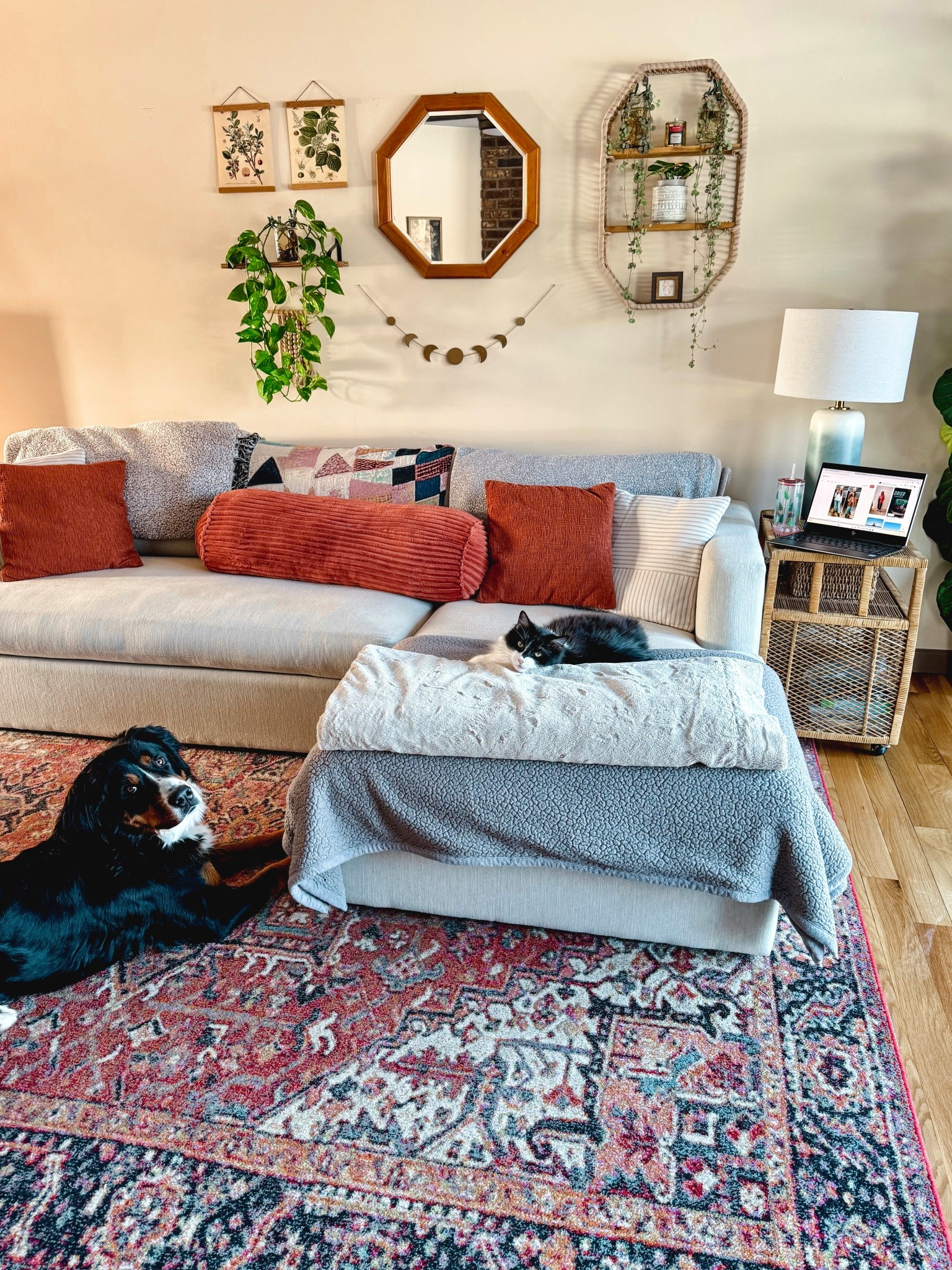 Two cuties with me as I work 🥰

Linked what I could and similar options for older/thrifted items 

#LTKHome #LTKdayinmylife #LTKSeasonal