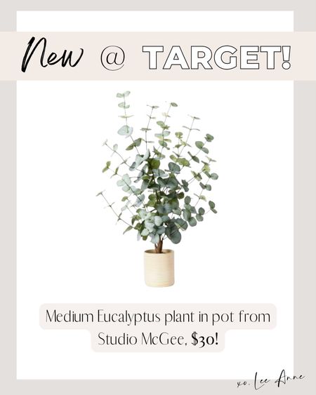 New Eucalyptus faux plant from Target! 

Lee Anne Benjamin 🤍

#LTKstyletip #LTKunder50 #LTKhome