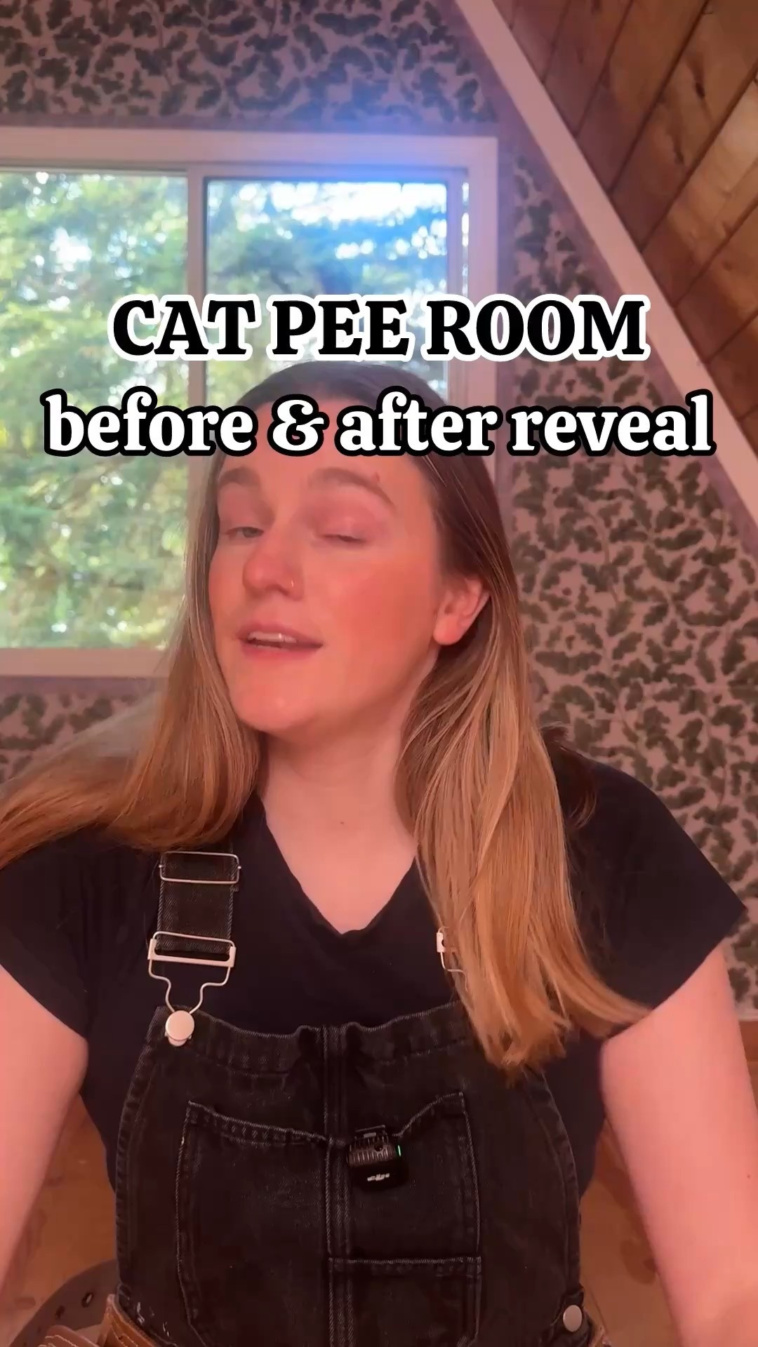 Everything we used to get rid of the cat pee smell!