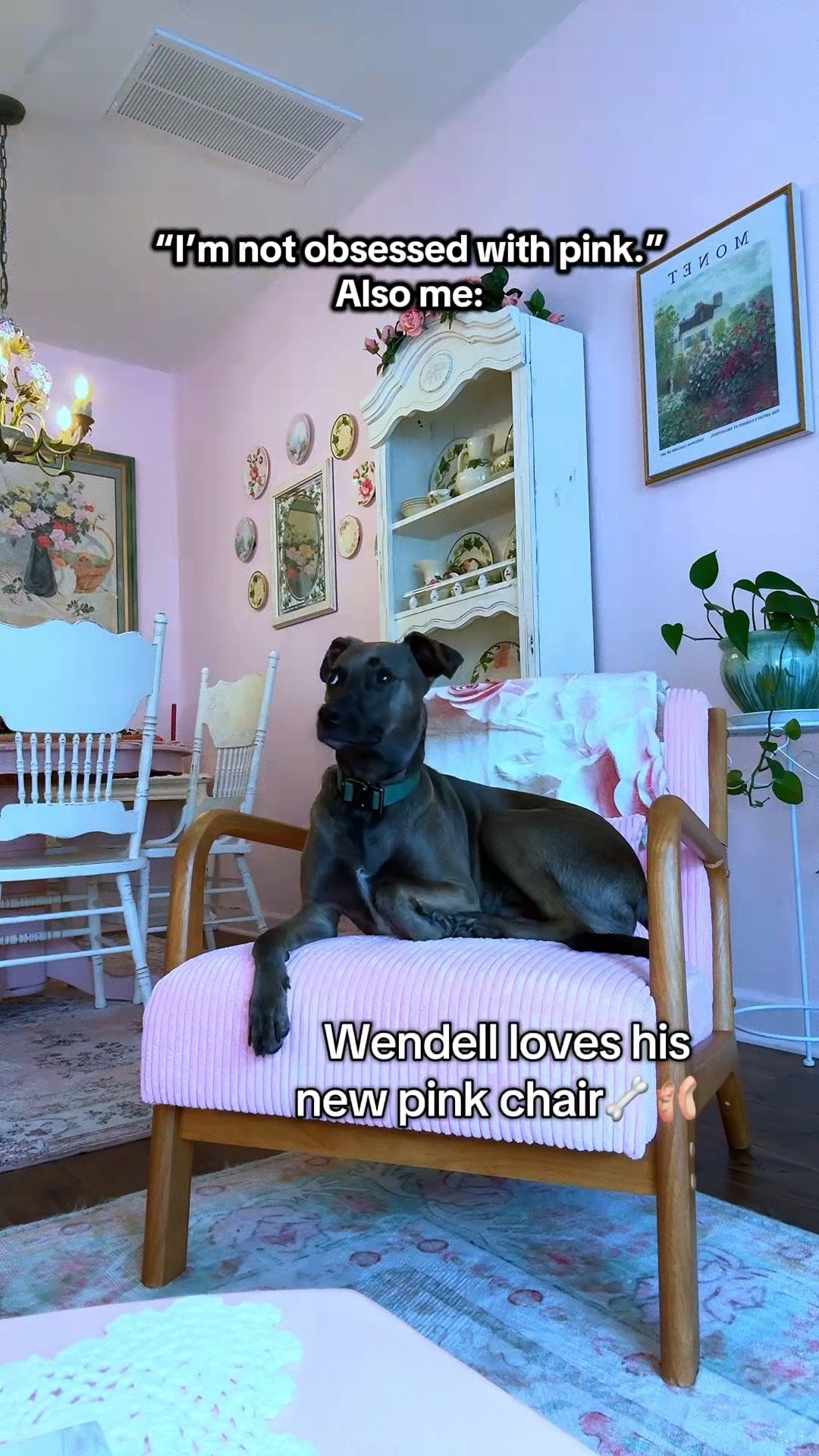 OBSESSED🌸

#LTKspringtrends #LTKhaul #LTKHome