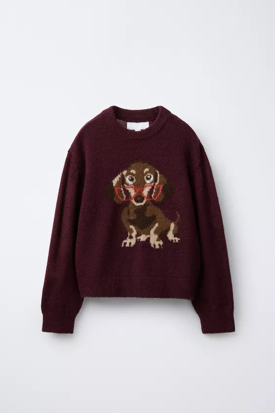 EMBROIDERED DOG KNIT SWEATER | Zara US