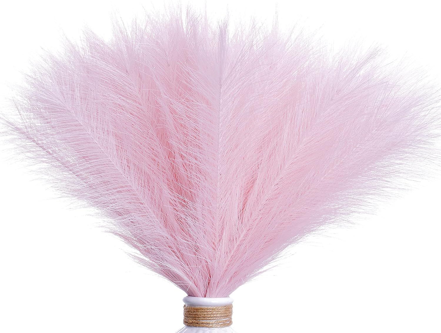Amazon.com: DIYFLORU Valentine’s Day Pampas Grass,12 Pack Light Pink Picks Valentine’s Day Gi... | Amazon (US)
