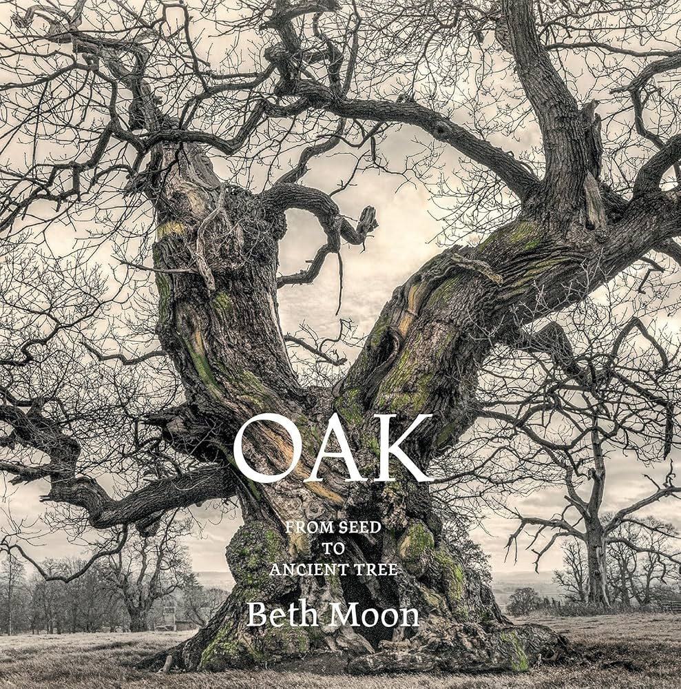 Oak: From Seed to Ancient Tree | Amazon (US)