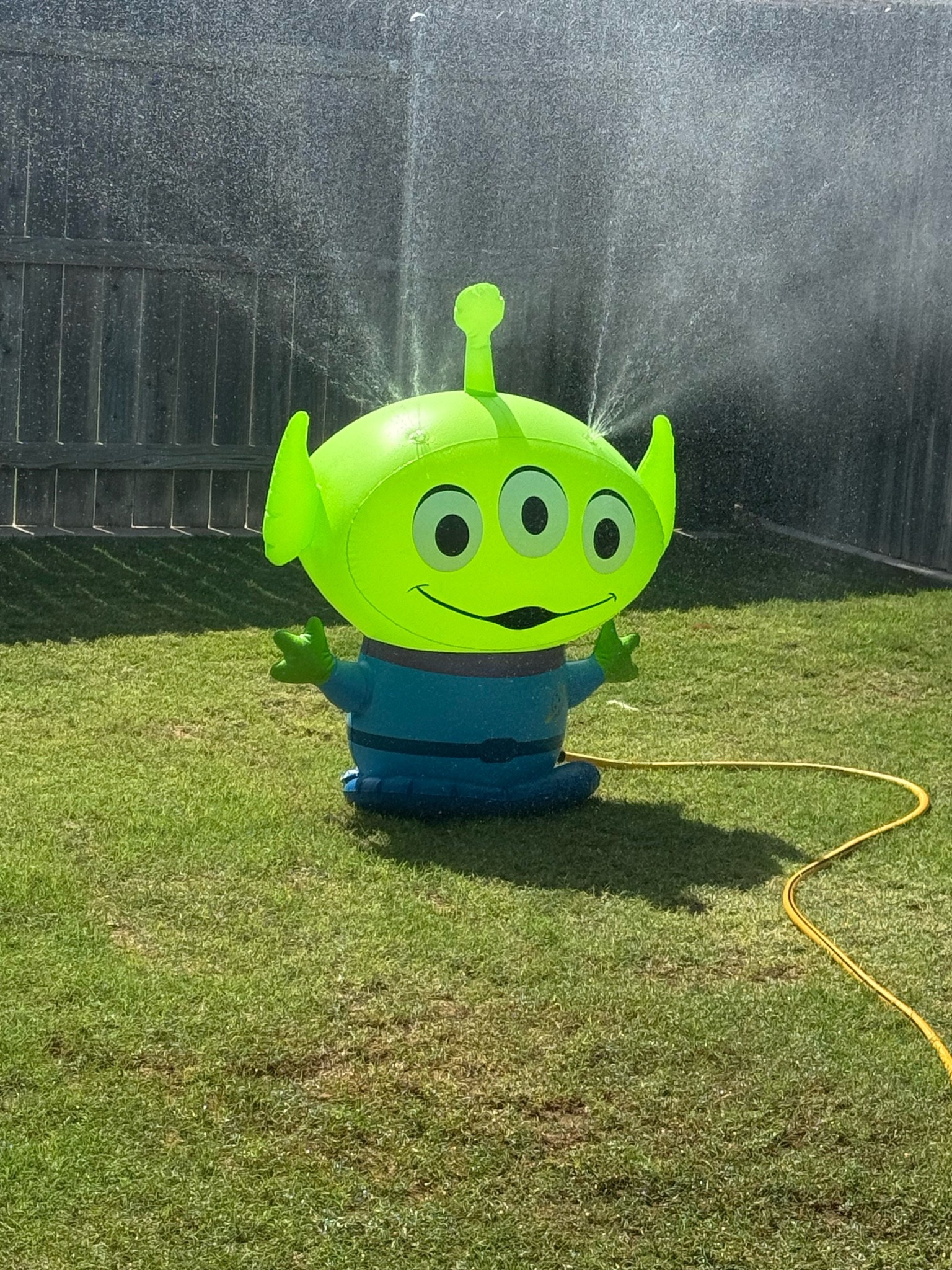 A must have for those Toy Story lovin kiddos!!🤪🤪🤪

#LTKmomlife #LTKSwim #LTKSeasonal