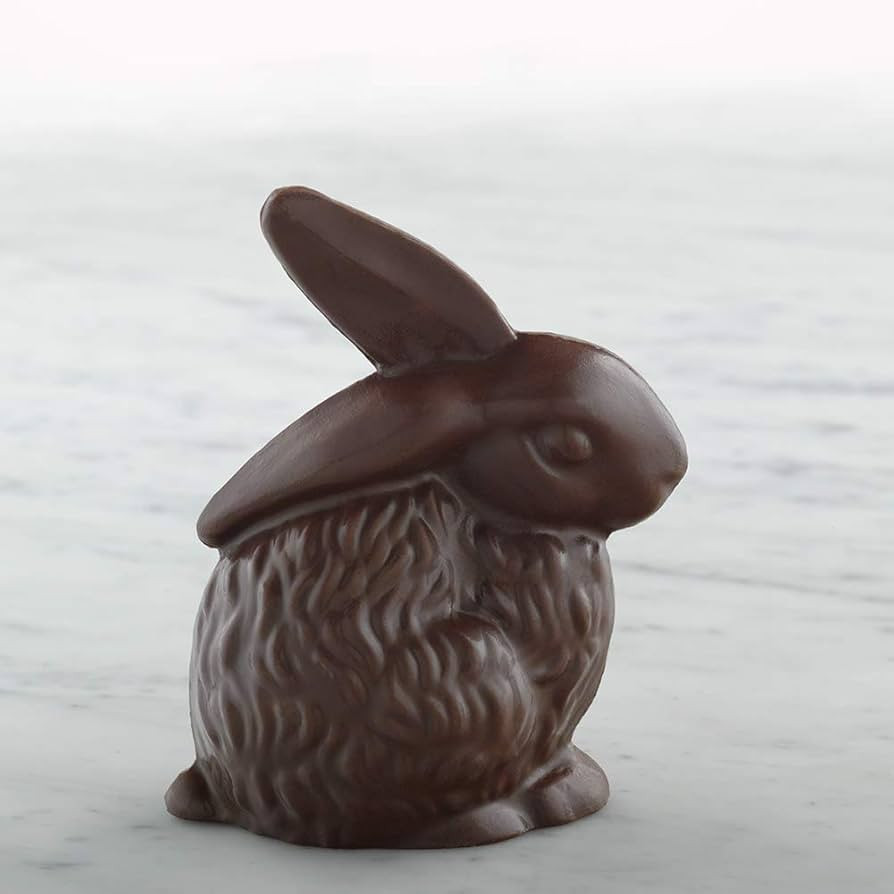 LAKE CHAMPLAIN CHOCOLATES Organic Easter Bunny Sea Salt And Almond, 5 OZ | Amazon (US)