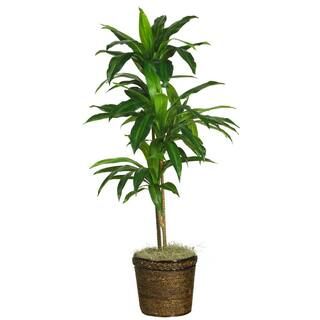 Nearly Natural 48 in. Artificial Dracaena with Basket Silk Plant (Real Touch) 6585-0308 | The Home Depot